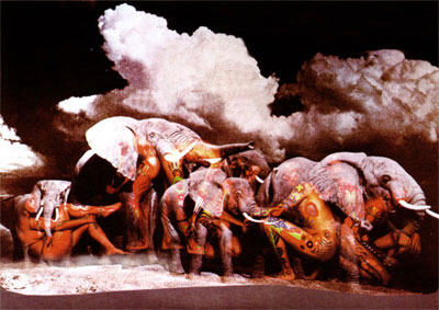 elephants memory