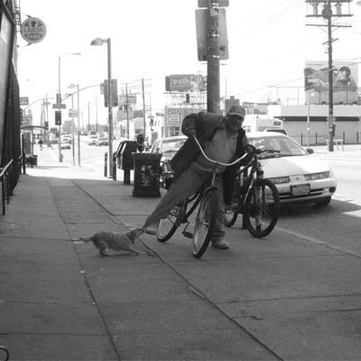 dog bike